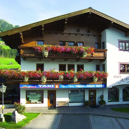 Anita Apartment Westendorf